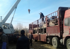 佛山顺德到永州物流专线-顺德区到永州货运公司